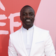 Image for article titled It's time to dump all of your money into Akon's cryptocurrency "Akoin"